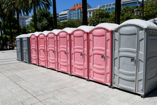 Best Deluxe Portable Toilet Rental  in Mclendon Chisholm, TX